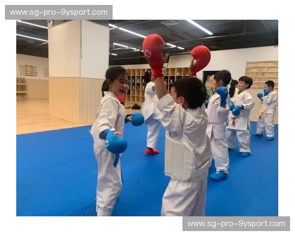 空手道数据访谈：用数字解读拳脚之间的智慧